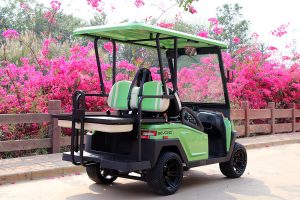 Bintelli Beyond 4PR Street Legal Golf Cart - Aluminum Frame