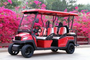 Bintelli Beyond 6PR Street Legal Golf Cart - Aluminum Frame