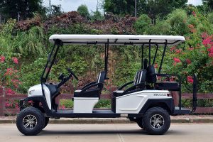Bintelli Beyond 6PR Lifted Street Legal Golf Cart - Loaded!